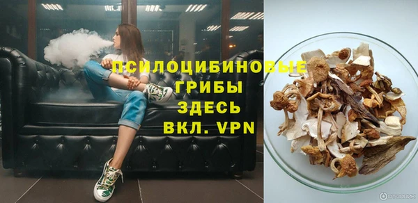 бошки Аркадак